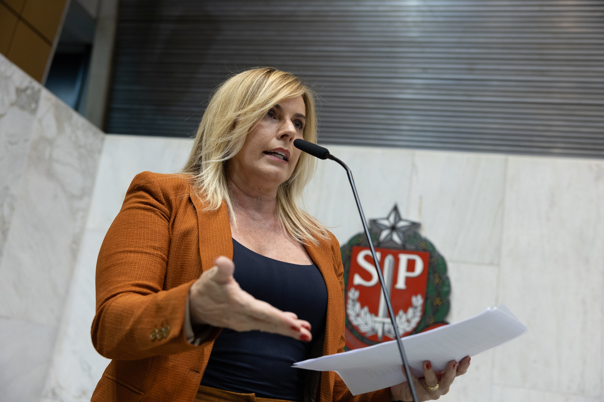 Dep. Solange Freitas (Unio)<a style='float:right;color:#ccc' href='https://www3.al.sp.gov.br/repositorio/noticia/N-11-2023/fg313148.jpg' target=_blank><i class='bi bi-zoom-in'></i> Clique para ver a imagem </a>