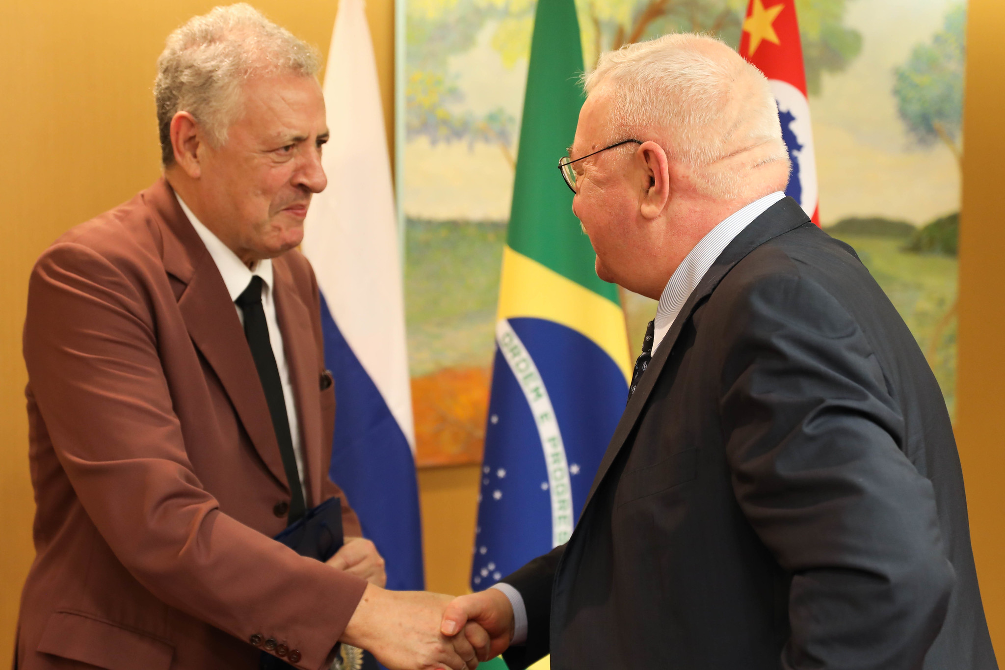 Visita do embaixador russo no Brasil<a style='float:right;color:#ccc' href='https://www3.al.sp.gov.br/repositorio/noticia/N-11-2023/fg313662.jpg' target=_blank><i class='bi bi-zoom-in'></i> Clique para ver a imagem </a>