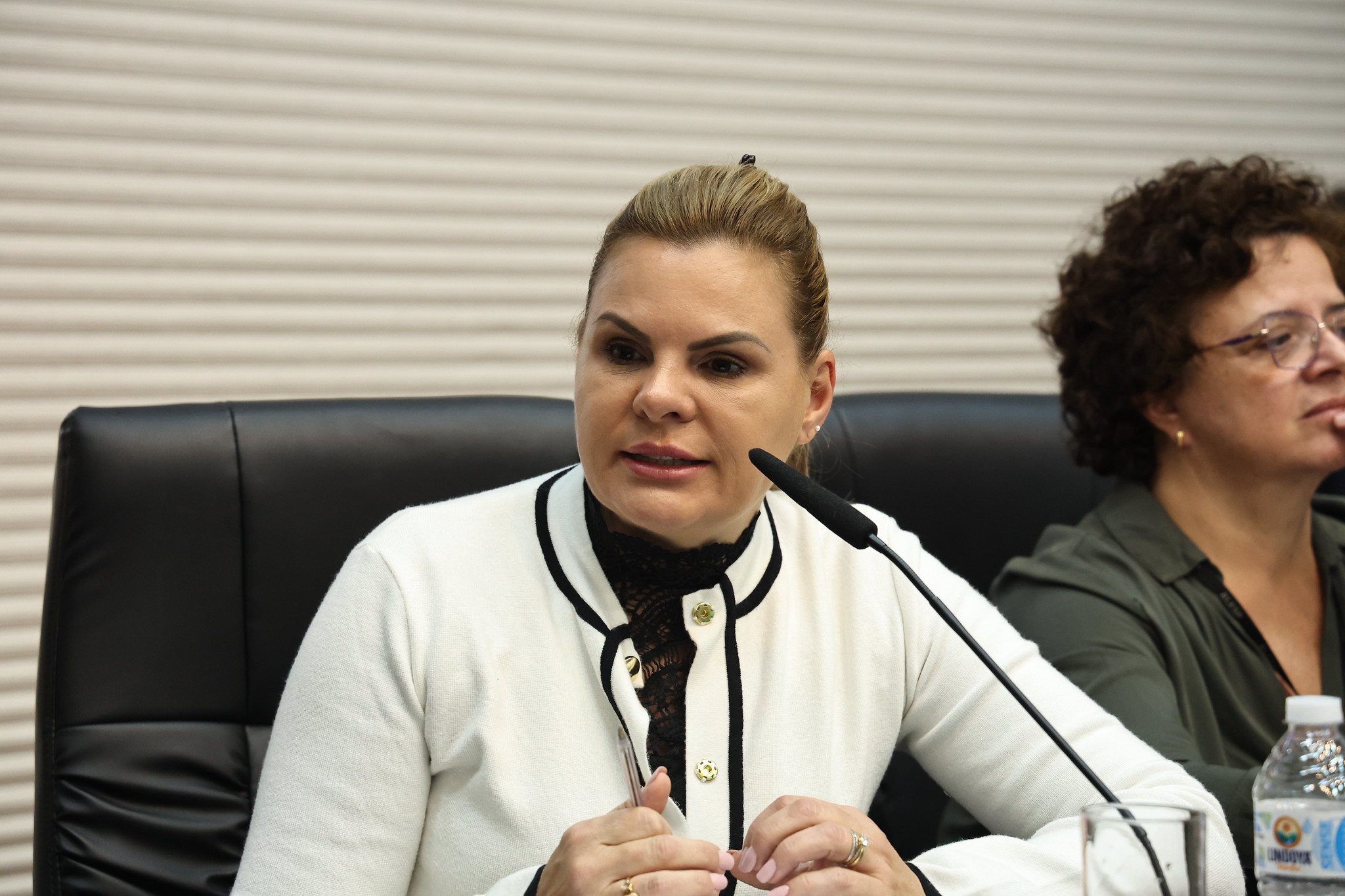 Presidente da CPI, deputada Carla Morando (PSDB)<a style='float:right;color:#ccc' href='https://www3.al.sp.gov.br/repositorio/noticia/N-11-2024/fg337911.jpg' target=_blank><i class='bi bi-zoom-in'></i> Clique para ver a imagem </a>