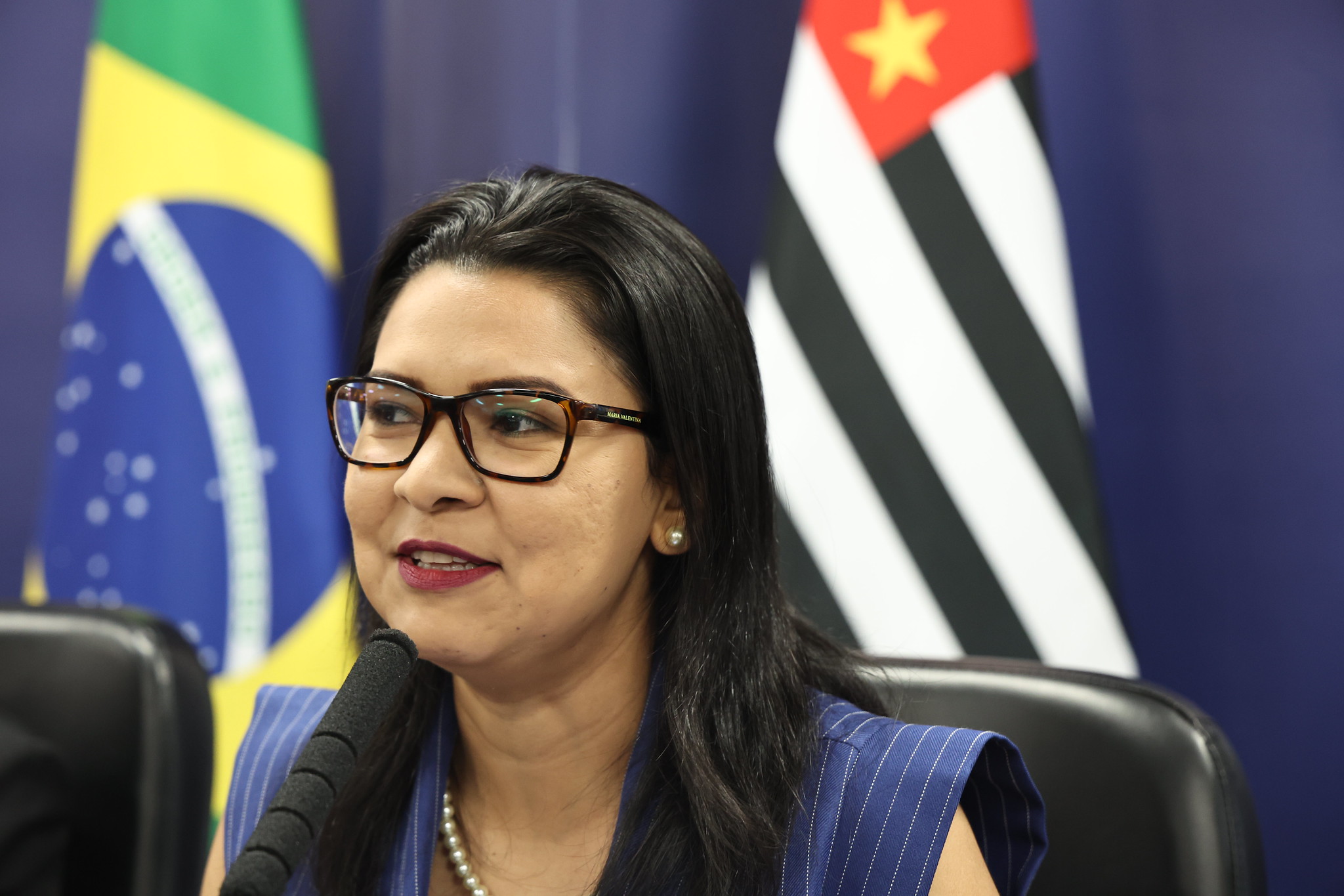 Advogada, Clebia Alves<a style='float:right;color:#ccc' href='https://www3.al.sp.gov.br/repositorio/noticia/N-11-2024/fg338003.jpg' target=_blank><i class='bi bi-zoom-in'></i> Clique para ver a imagem </a>