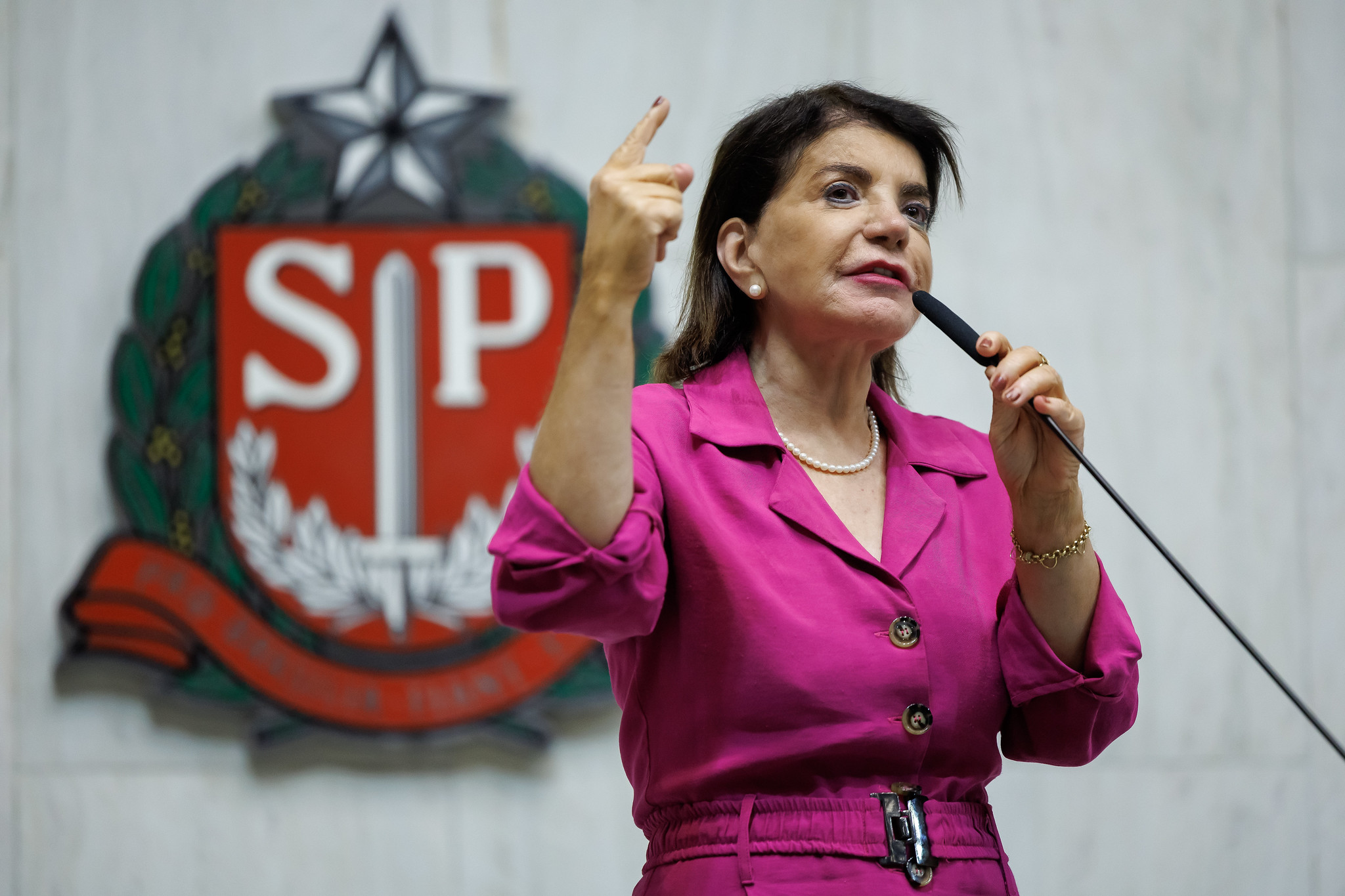 Professora Bebel (PT): PEC 9/2023<a style='float:right;color:#ccc' href='https://www3.al.sp.gov.br/repositorio/noticia/N-11-2024/fg338408.jpg' target=_blank><i class='bi bi-zoom-in'></i> Clique para ver a imagem </a>