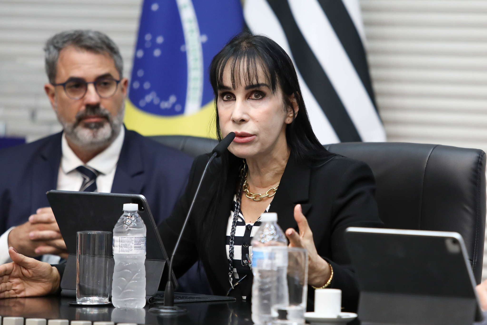  Vivien Suruagy: segurana ciberntica<a style='float:right;color:#ccc' href='https://www3.al.sp.gov.br/repositorio/noticia/N-11-2024/fg338421.jpg' target=_blank><i class='bi bi-zoom-in'></i> Clique para ver a imagem </a>
