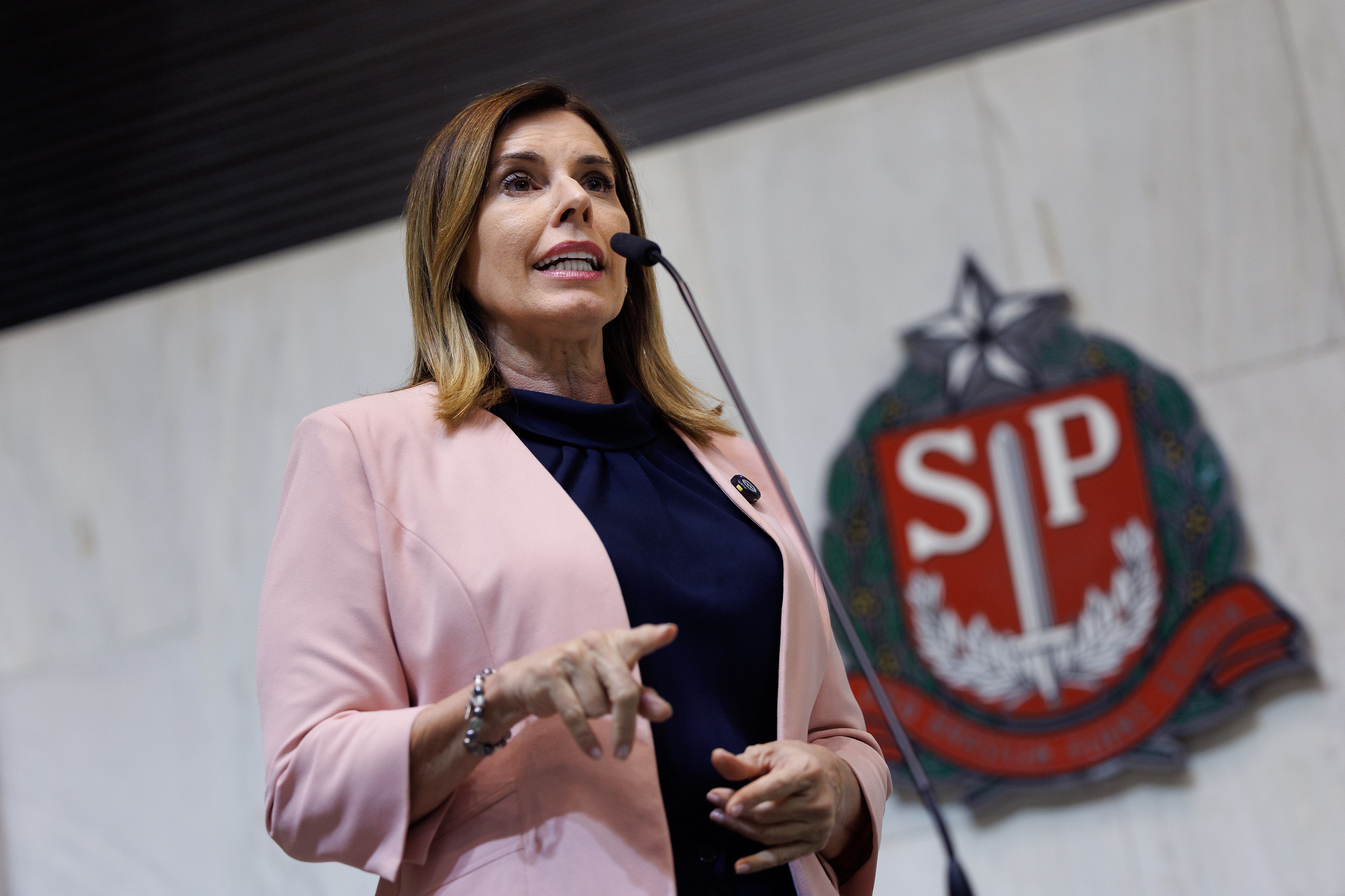 Deputada Solange Freitas<a style='float:right;color:#ccc' href='https://www3.al.sp.gov.br/repositorio/noticia/N-11-2025/fg356425.jpg' target=_blank><i class='bi bi-zoom-in'></i> Clique para ver a imagem </a>