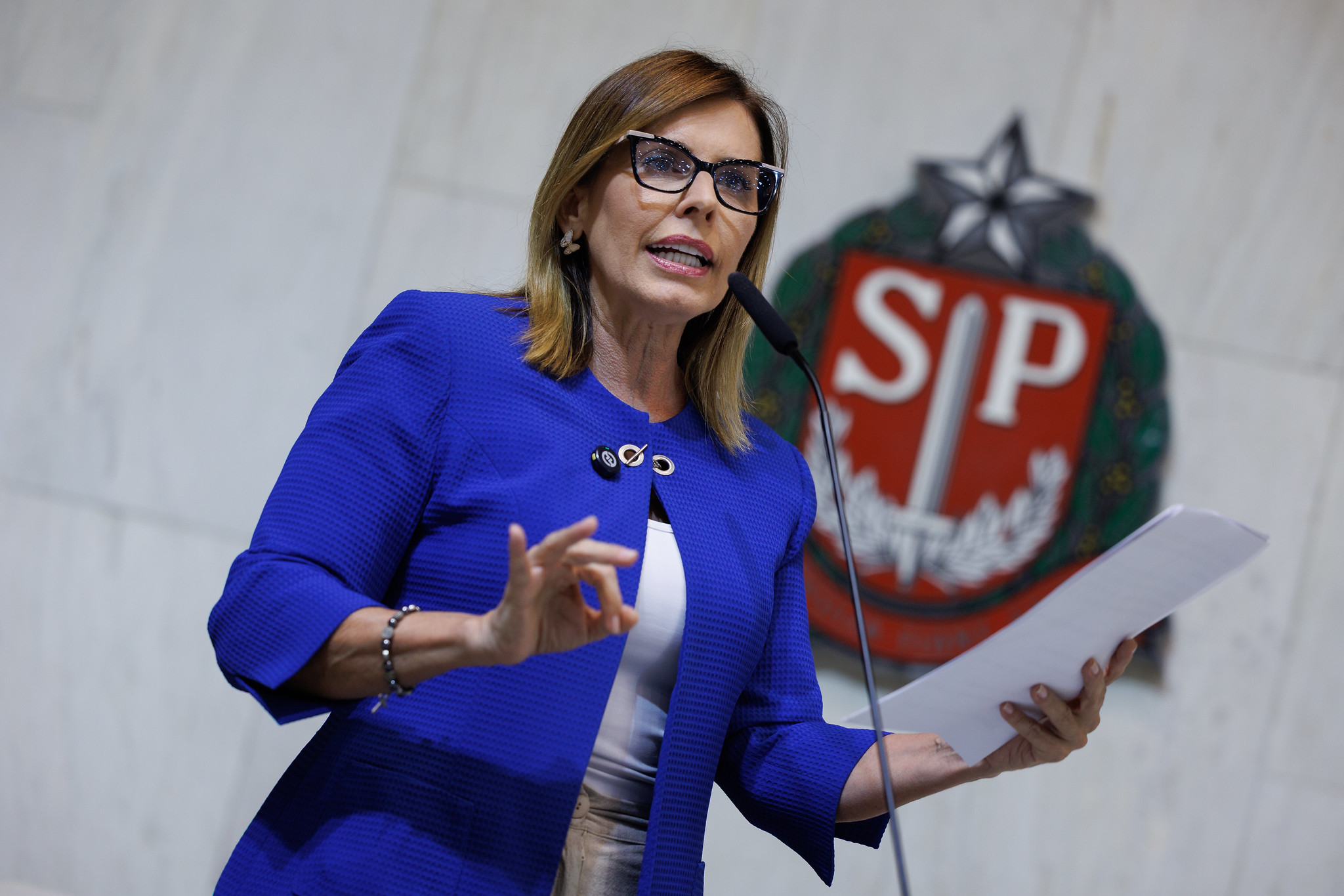 Solange Freitas (Unio): acessibilidade em shoppings<a style='float:right;color:#ccc' href='https://www3.al.sp.gov.br/repositorio/noticia/N-11-2025/fg356921.jpg' target=_blank><i class='bi bi-zoom-in'></i> Clique para ver a imagem </a>