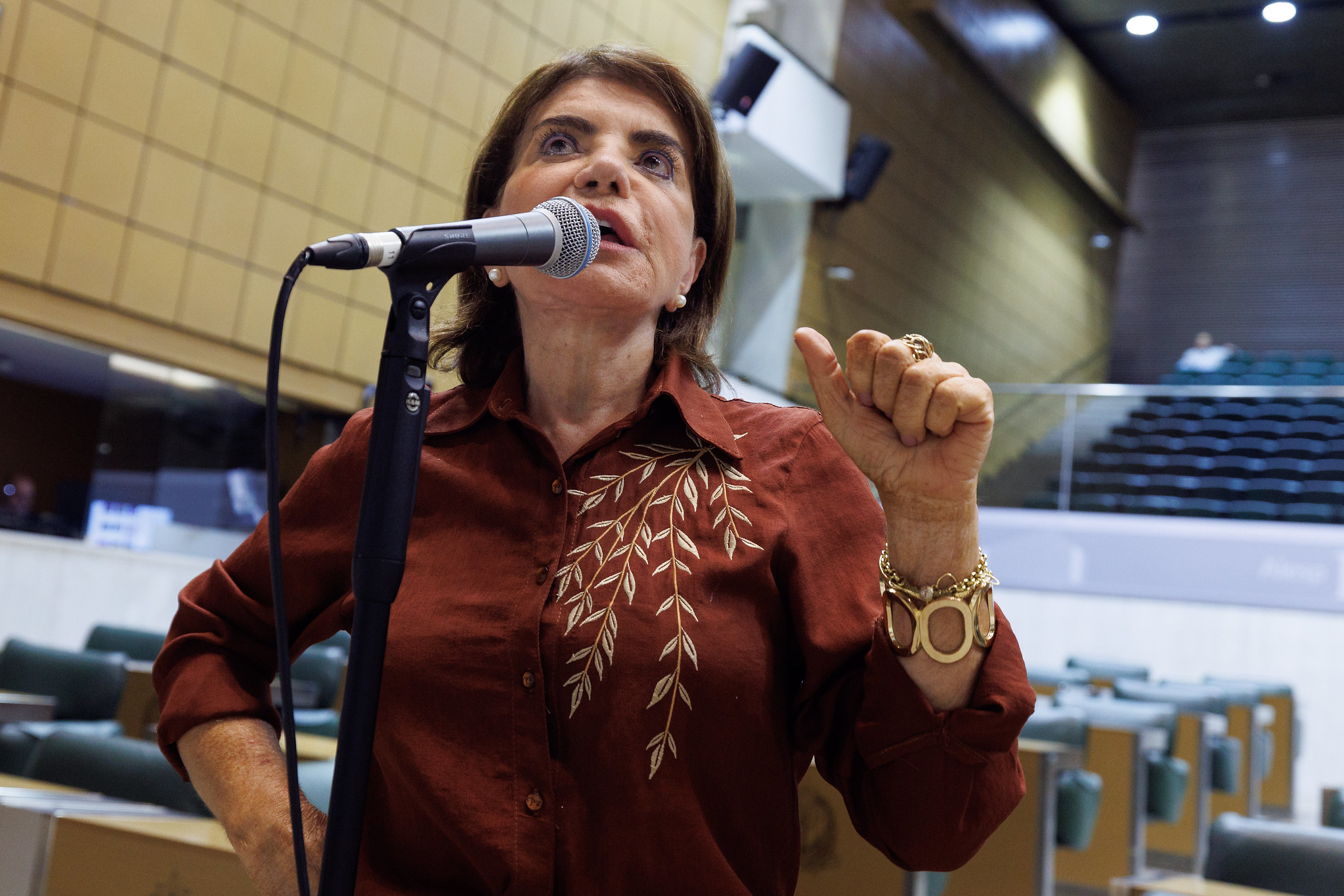 Deputada Professora Bebel <a style='float:right;color:#ccc' href='https://www3.al.sp.gov.br/repositorio/noticia/N-11-2025/fg357305.jpg' target=_blank><i class='bi bi-zoom-in'></i> Clique para ver a imagem </a>