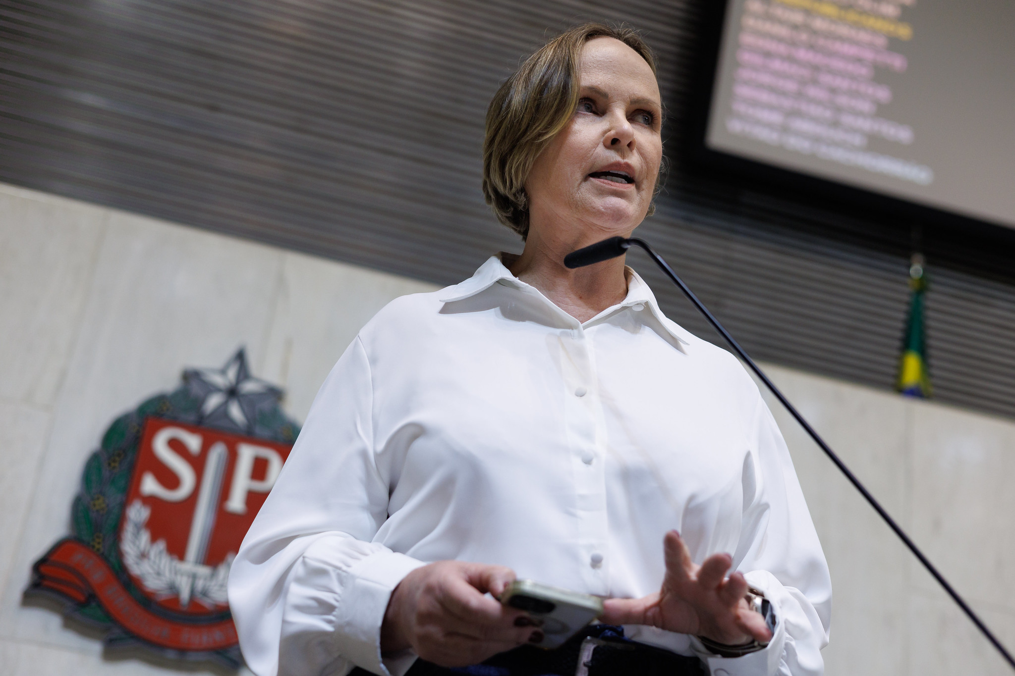 Deputada Ana Perugini<a style='float:right;color:#ccc' href='https://www3.al.sp.gov.br/repositorio/noticia/N-11-2025/fg357585.jpg' target=_blank><i class='bi bi-zoom-in'></i> Clique para ver a imagem </a>