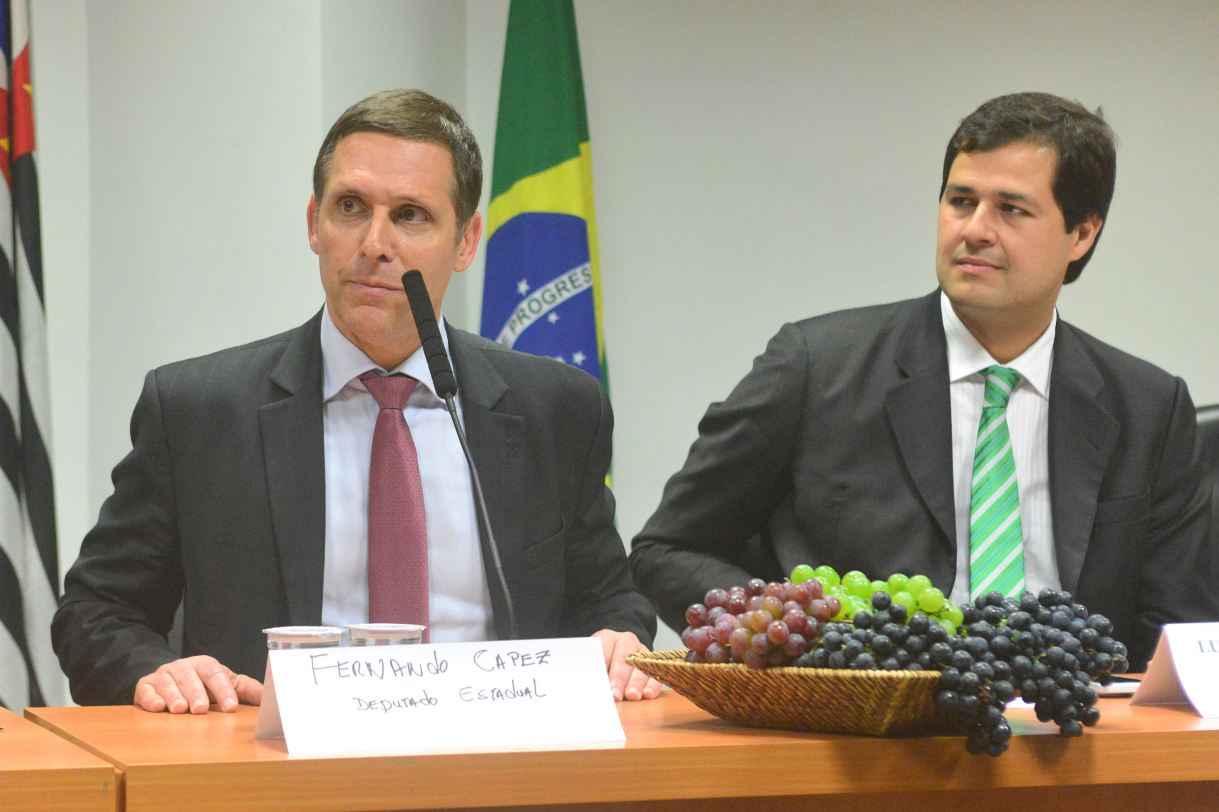 Fernando Capez e Luiz Fernando Machado<a style='float:right;color:#ccc' href='https://www3.al.sp.gov.br/repositorio/noticia/N-12-2015/fg183277.jpg' target=_blank><i class='bi bi-zoom-in'></i> Clique para ver a imagem </a>