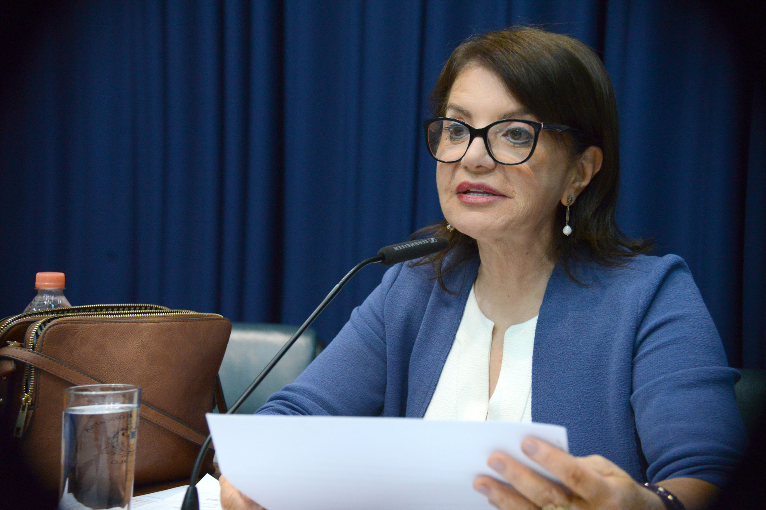 Professora Bebel preside a comisso<a style='float:right;color:#ccc' href='https://www3.al.sp.gov.br/repositorio/noticia/N-12-2019/fg245086.jpg' target=_blank><i class='bi bi-zoom-in'></i> Clique para ver a imagem </a>