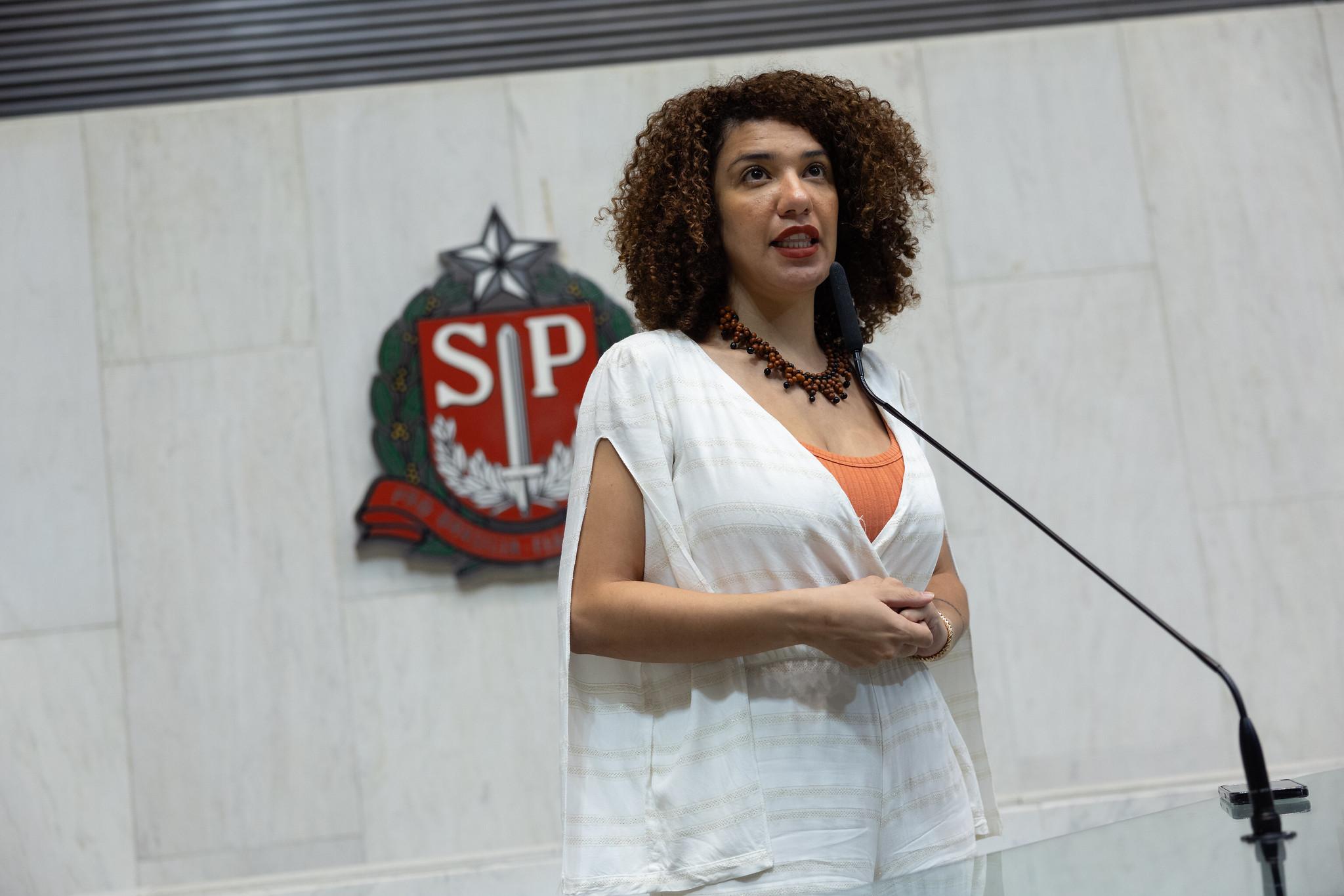 Monica Seixas do Movimento Pretas (Psol)<a style='float:right;color:#ccc' href='https://www3.al.sp.gov.br/repositorio/noticia/N-12-2023/fg315972.jpg' target=_blank><i class='bi bi-zoom-in'></i> Clique para ver a imagem </a>