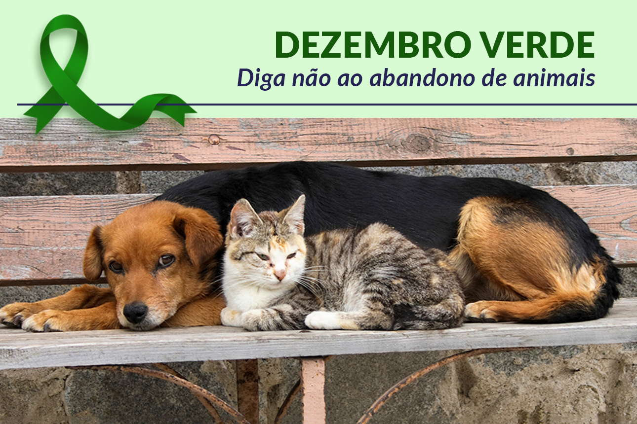 Campanha Dezembro Verde<a style='float:right;color:#ccc' href='https://www3.al.sp.gov.br/repositorio/noticia/N-12-2024/fg338799.png' target=_blank><i class='bi bi-zoom-in'></i> Clique para ver a imagem </a>