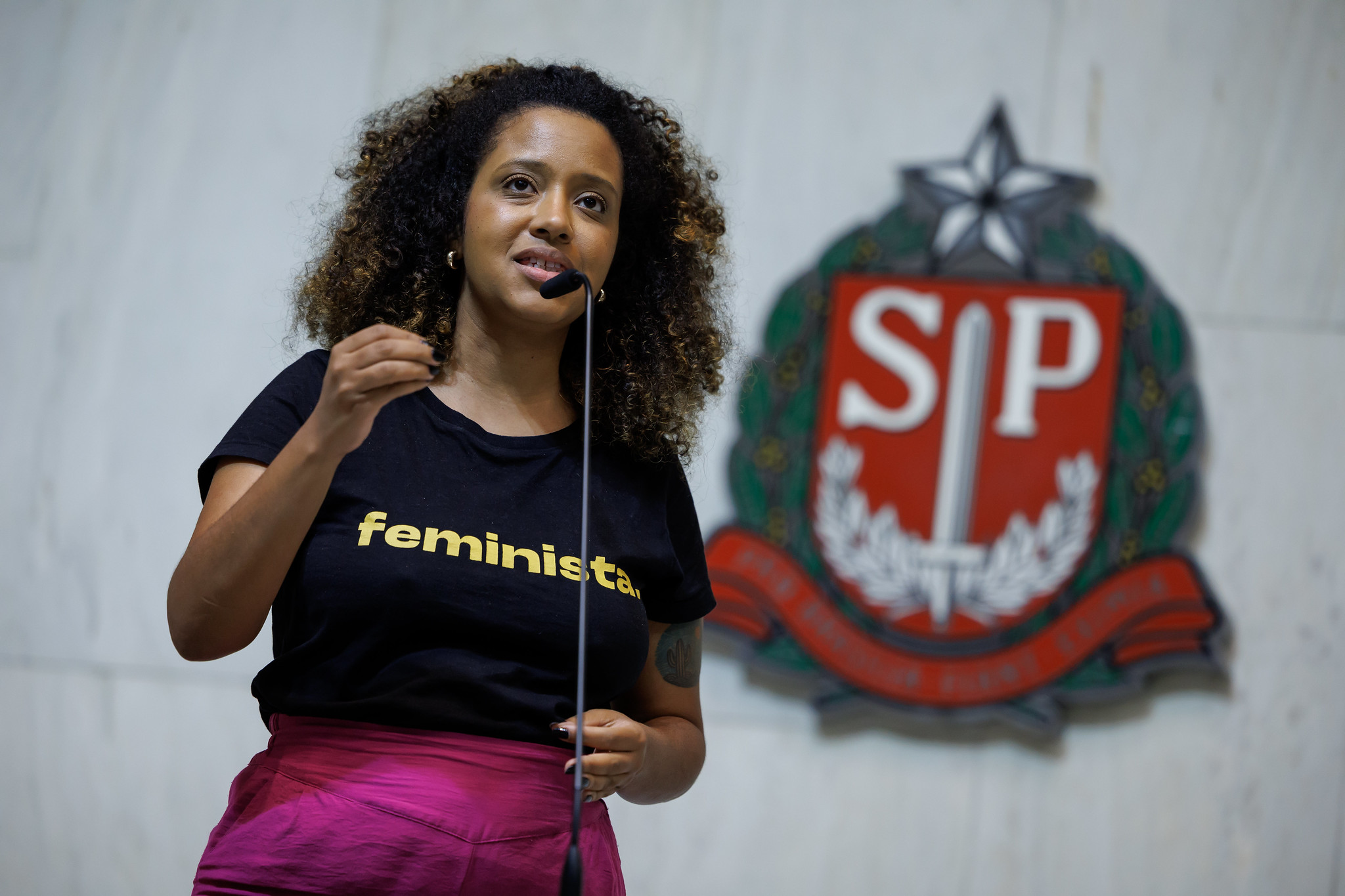 Paula da Bancada Feminista: feminicdio<a style='float:right;color:#ccc' href='https://www3.al.sp.gov.br/repositorio/noticia/N-12-2025/fg357831.jpg' target=_blank><i class='bi bi-zoom-in'></i> Clique para ver a imagem </a>