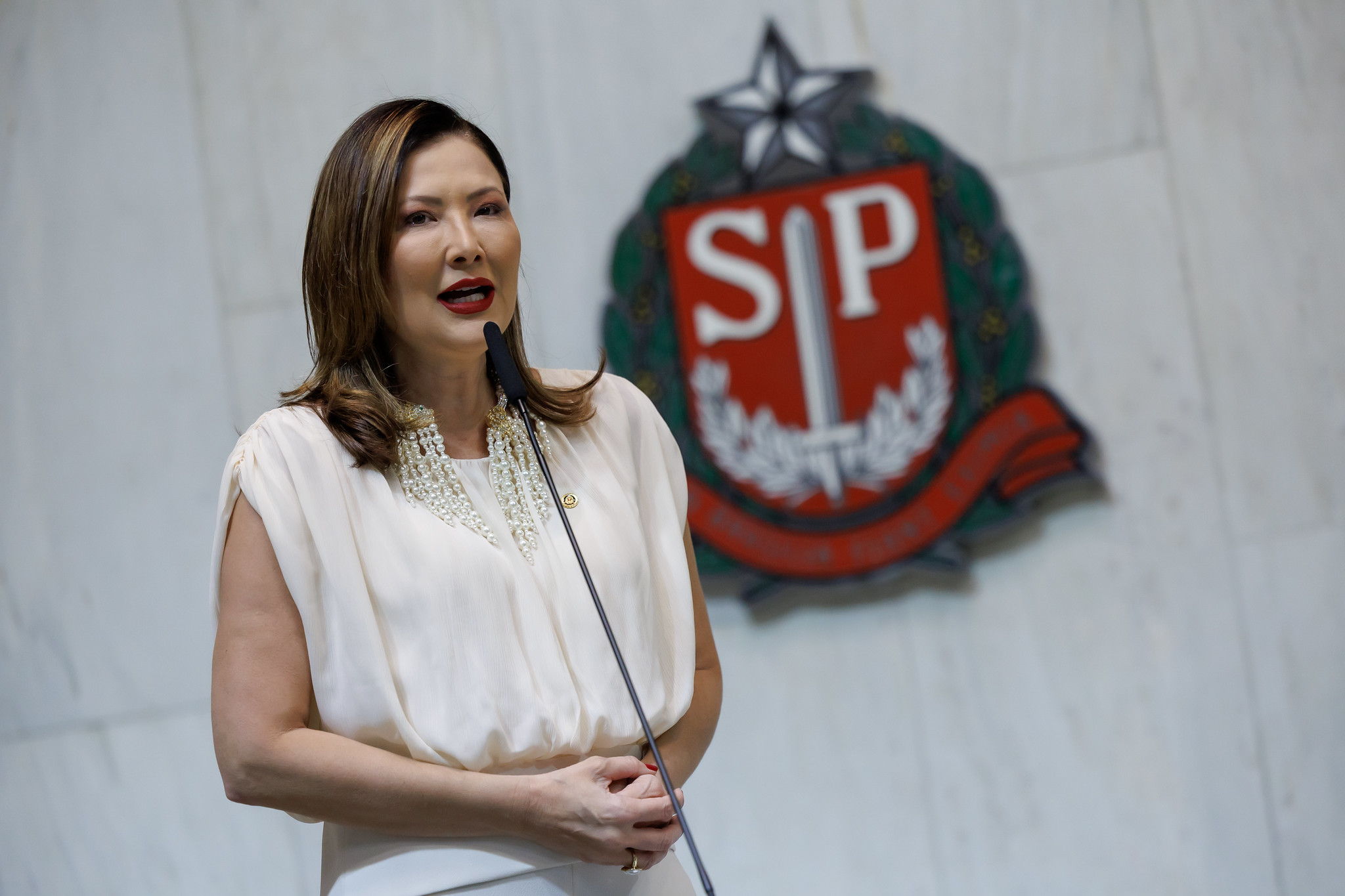 Delegada Raquel: proteo s vtimas<a style='float:right;color:#ccc' href='https://www3.al.sp.gov.br/repositorio/noticia/N-12-2025/fg357859.jpg' target=_blank><i class='bi bi-zoom-in'></i> Clique para ver a imagem </a>