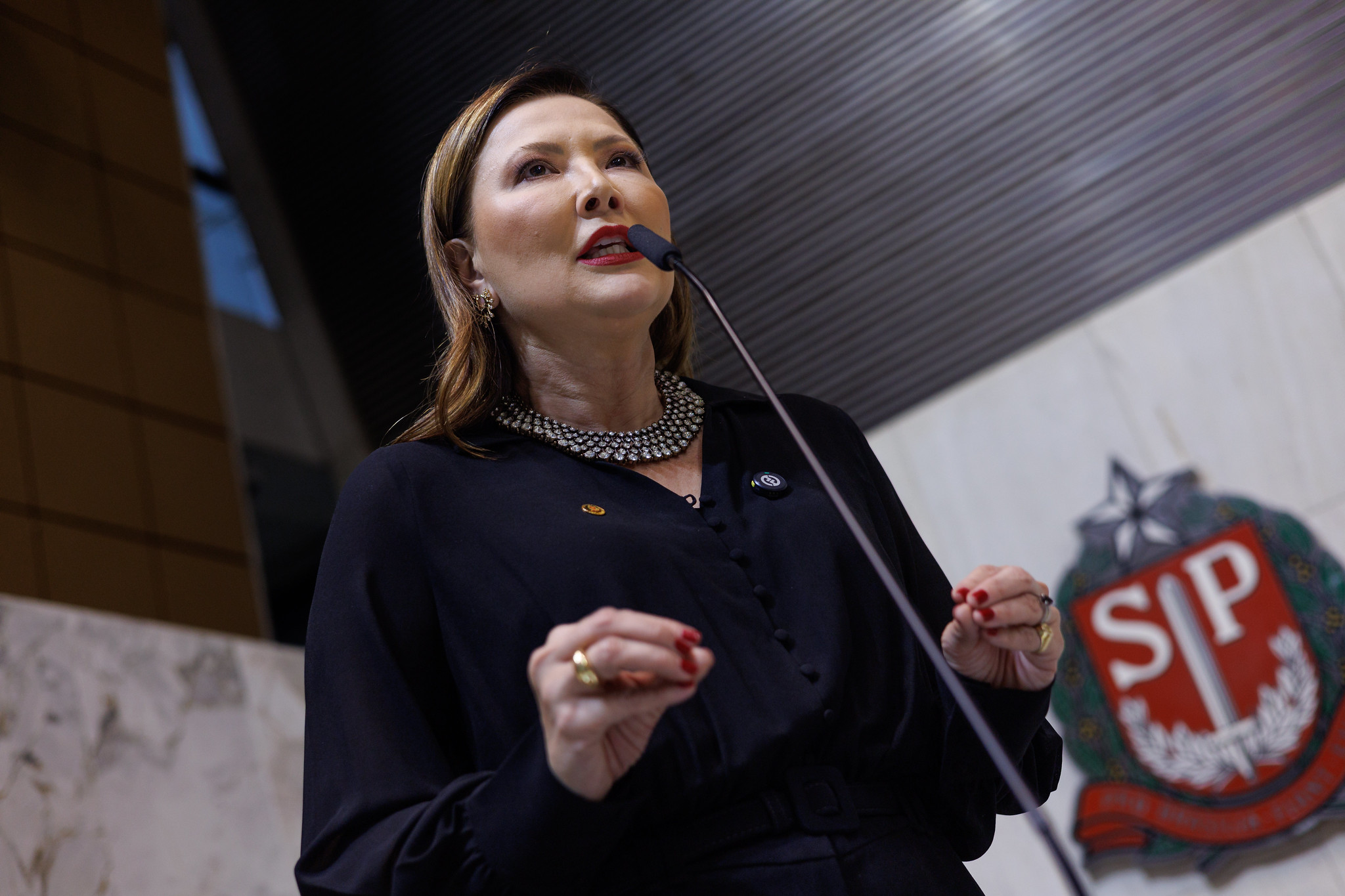 Dep. Raquel Gallinati<a style='float:right;color:#ccc' href='https://www3.al.sp.gov.br/repositorio/noticia/N-12-2025/fg357979.jpg' target=_blank><i class='bi bi-zoom-in'></i> Clique para ver a imagem </a>