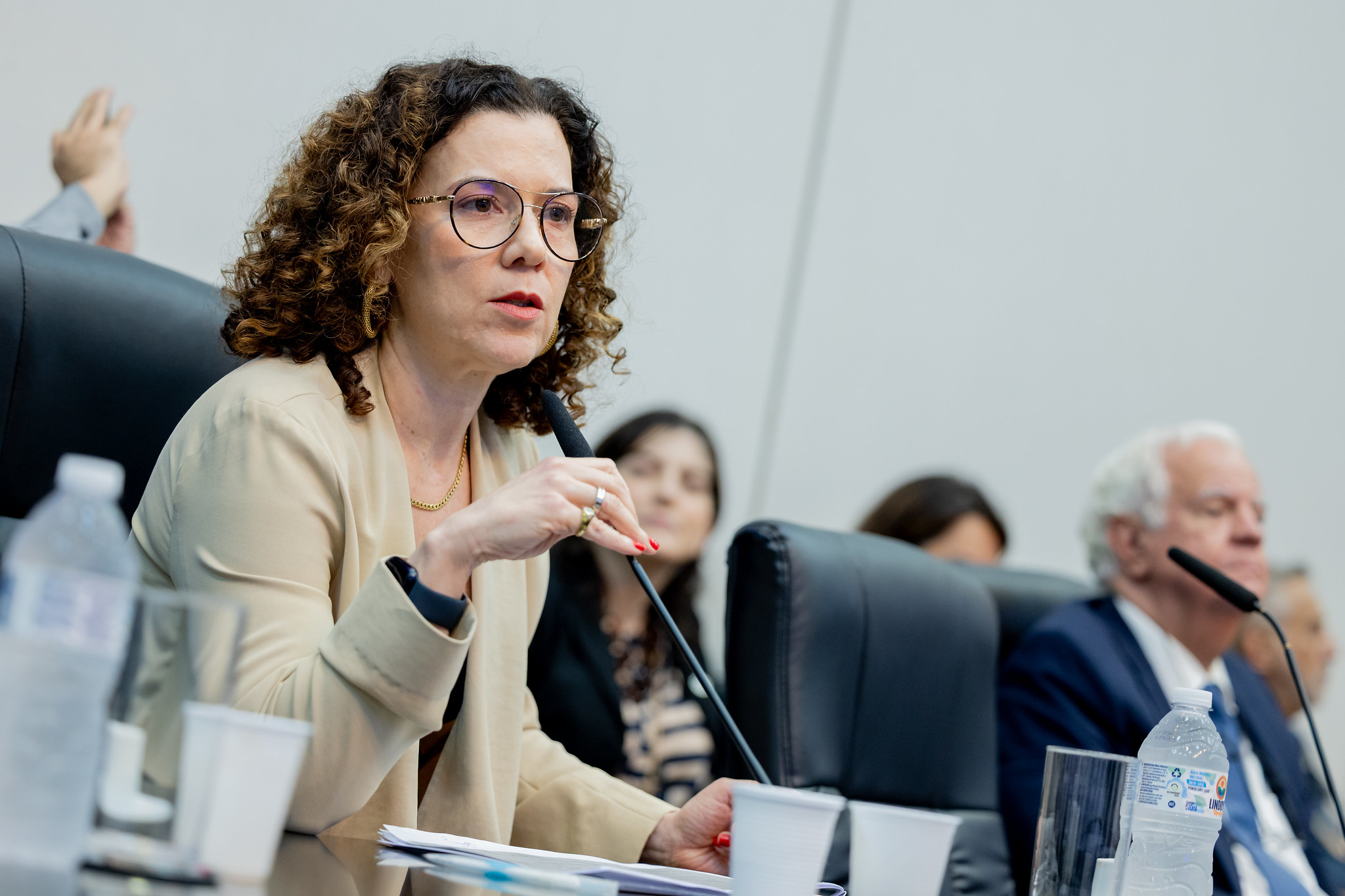 M�rcia Nejaim: transi��o energ�tica<a style='float:right;color:#ccc' href='https://www3.al.sp.gov.br/repositorio/noticia/N-12-2025/fg358164.jpg' target=_blank><i class='bi bi-zoom-in'></i> Clique para ver a imagem </a>