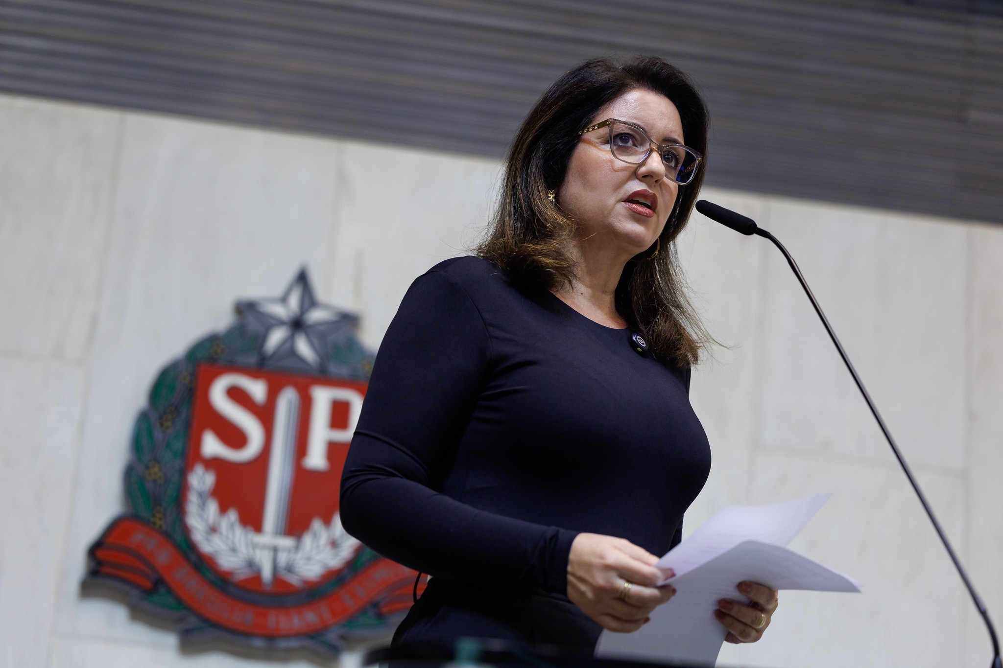 Andr�a Werner (PSB): or�amento estadual<a style='float:right;color:#ccc' href='https://www3.al.sp.gov.br/repositorio/noticia/N-12-2025/fg358260.jpg' target=_blank><i class='bi bi-zoom-in'></i> Clique para ver a imagem </a>