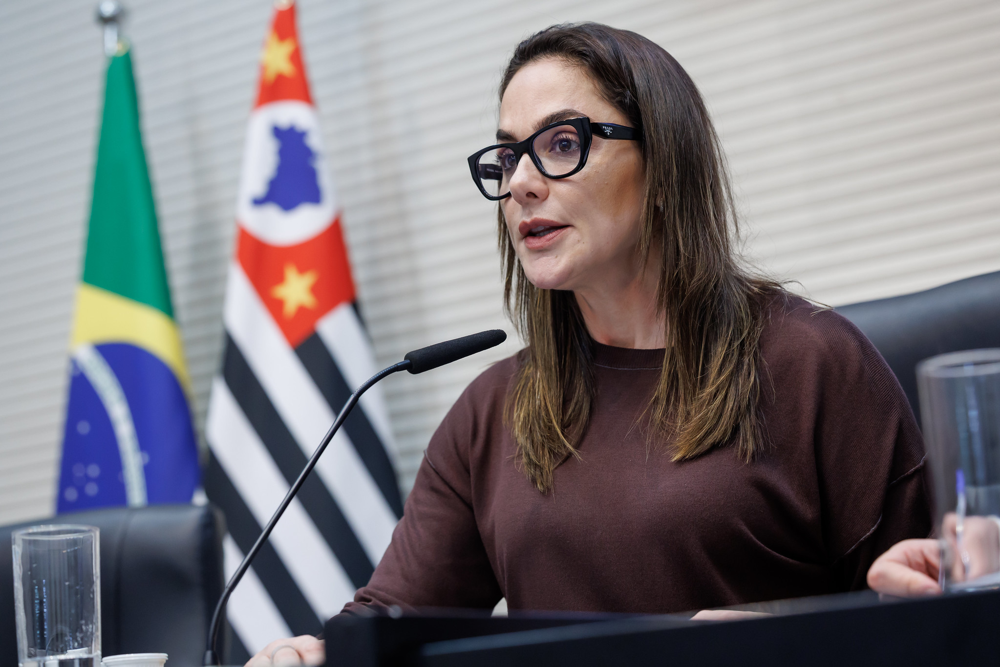 Reuni�o foi presidida pela dep. Ana Carolina Serra<a style='float:right;color:#ccc' href='https://www3.al.sp.gov.br/repositorio/noticia/N-12-2025/fg358272.jpg' target=_blank><i class='bi bi-zoom-in'></i> Clique para ver a imagem </a>