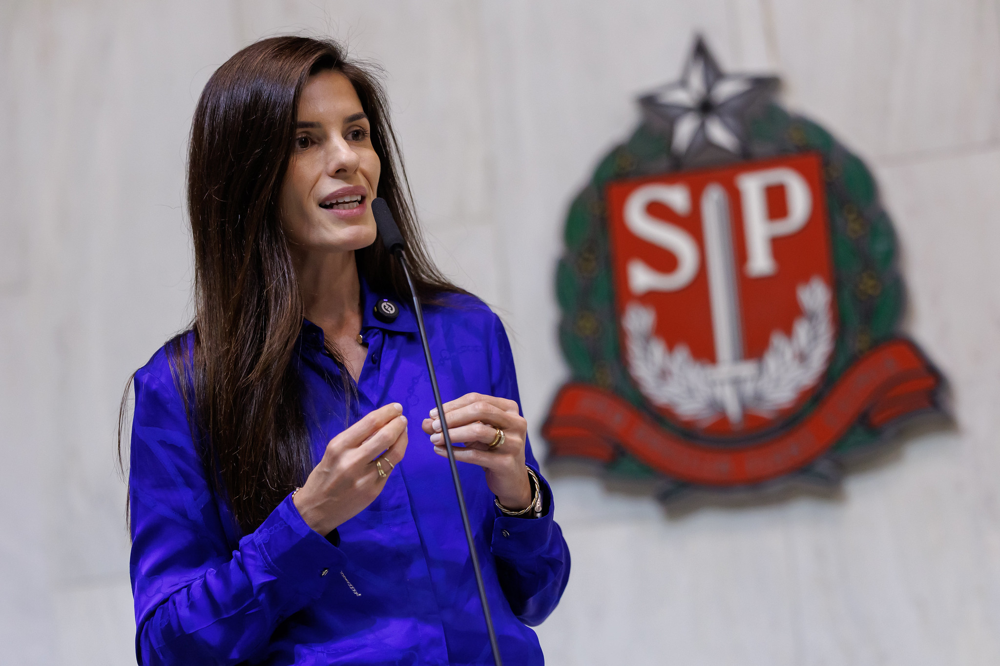 Deputada Dani Alonso <a style='float:right;color:#ccc' href='https://www3.al.sp.gov.br/repositorio/noticia/N-12-2025/fg358344.jpg' target=_blank><i class='bi bi-zoom-in'></i> Clique para ver a imagem </a>