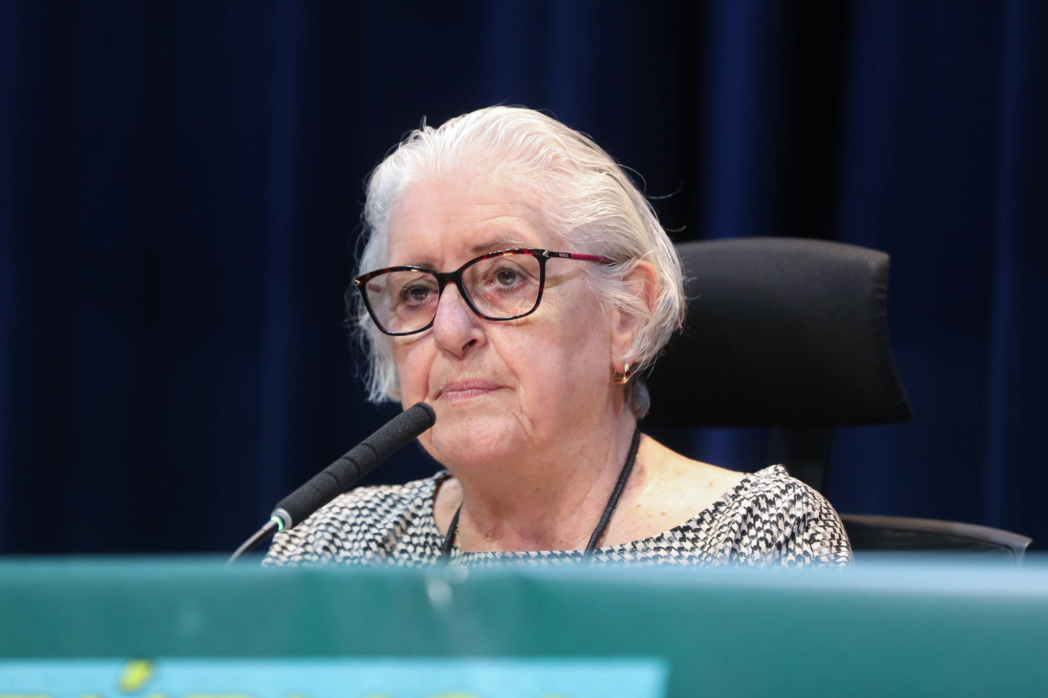 Gatti: valores que permitam o crescimento<a style='float:right;color:#ccc' href='https://www3.al.sp.gov.br/repositorio/noticia/N-12-2025/fg358362.jpg' target=_blank><i class='bi bi-zoom-in'></i> Clique para ver a imagem </a>