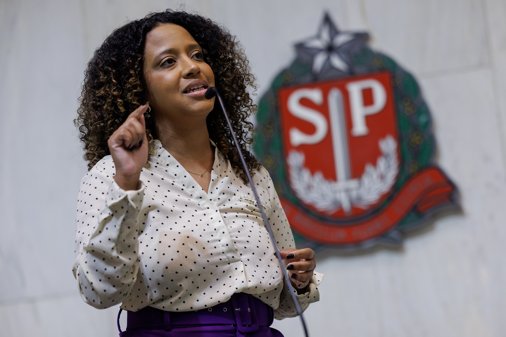 Deputada Paula da Bancada Feminista <a style='float:right;color:#ccc' href='https://www3.al.sp.gov.br/repositorio/noticia/N-12-2025/fg358375.jpg' target=_blank><i class='bi bi-zoom-in'></i> Clique para ver a imagem </a>