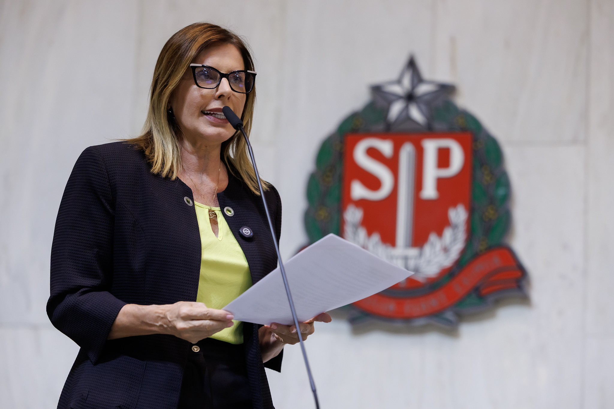 Deputada Solange Freitas <a style='float:right;color:#ccc' href='https://www3.al.sp.gov.br/repositorio/noticia/N-12-2025/fg358376.jpg' target=_blank><i class='bi bi-zoom-in'></i> Clique para ver a imagem </a>