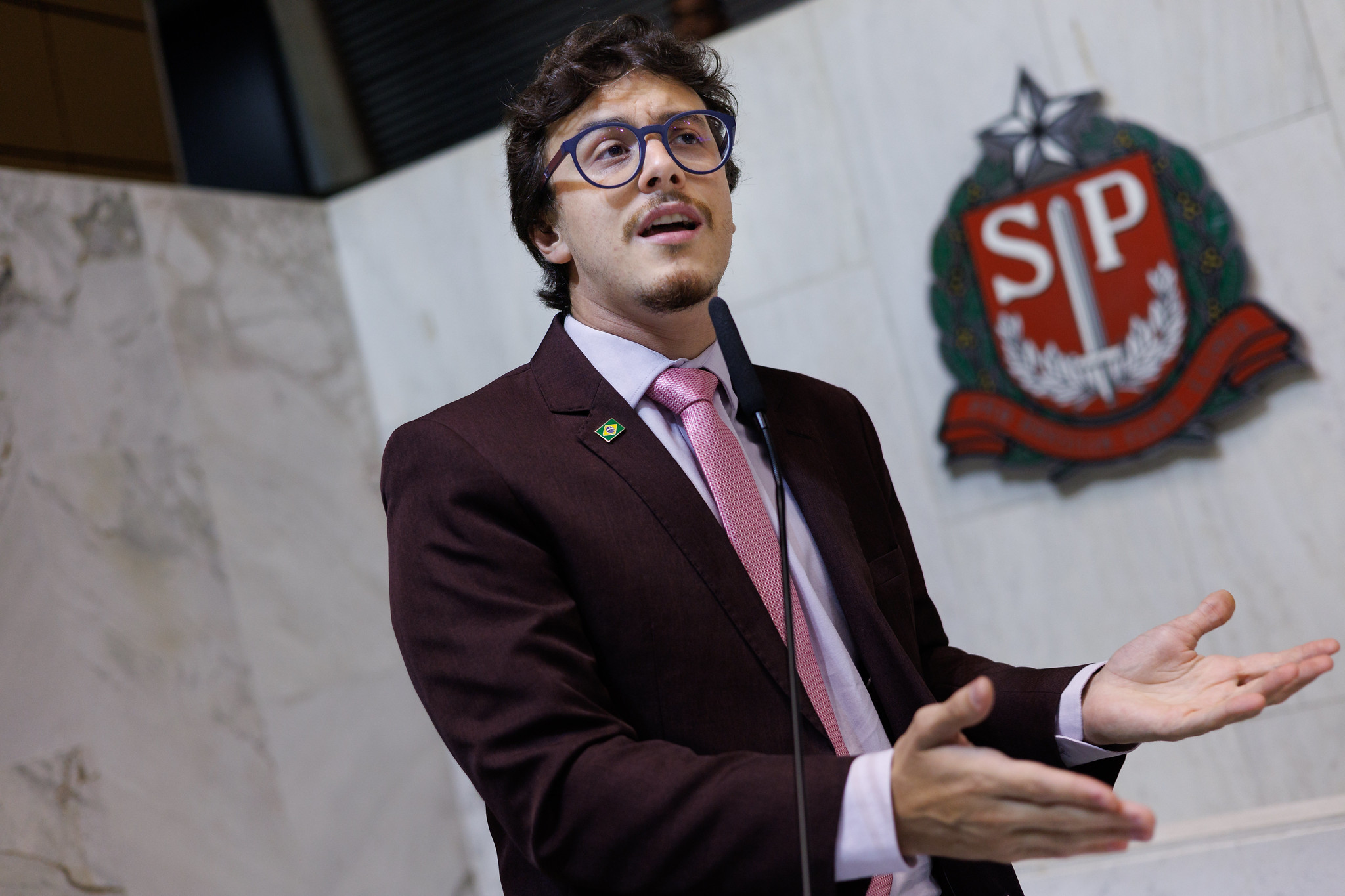 Guilherme Cortez: cr�ticas � Enel <a style='float:right;color:#ccc' href='https://www3.al.sp.gov.br/repositorio/noticia/N-12-2025/fg358442.jpg' target=_blank><i class='bi bi-zoom-in'></i> Clique para ver a imagem </a>