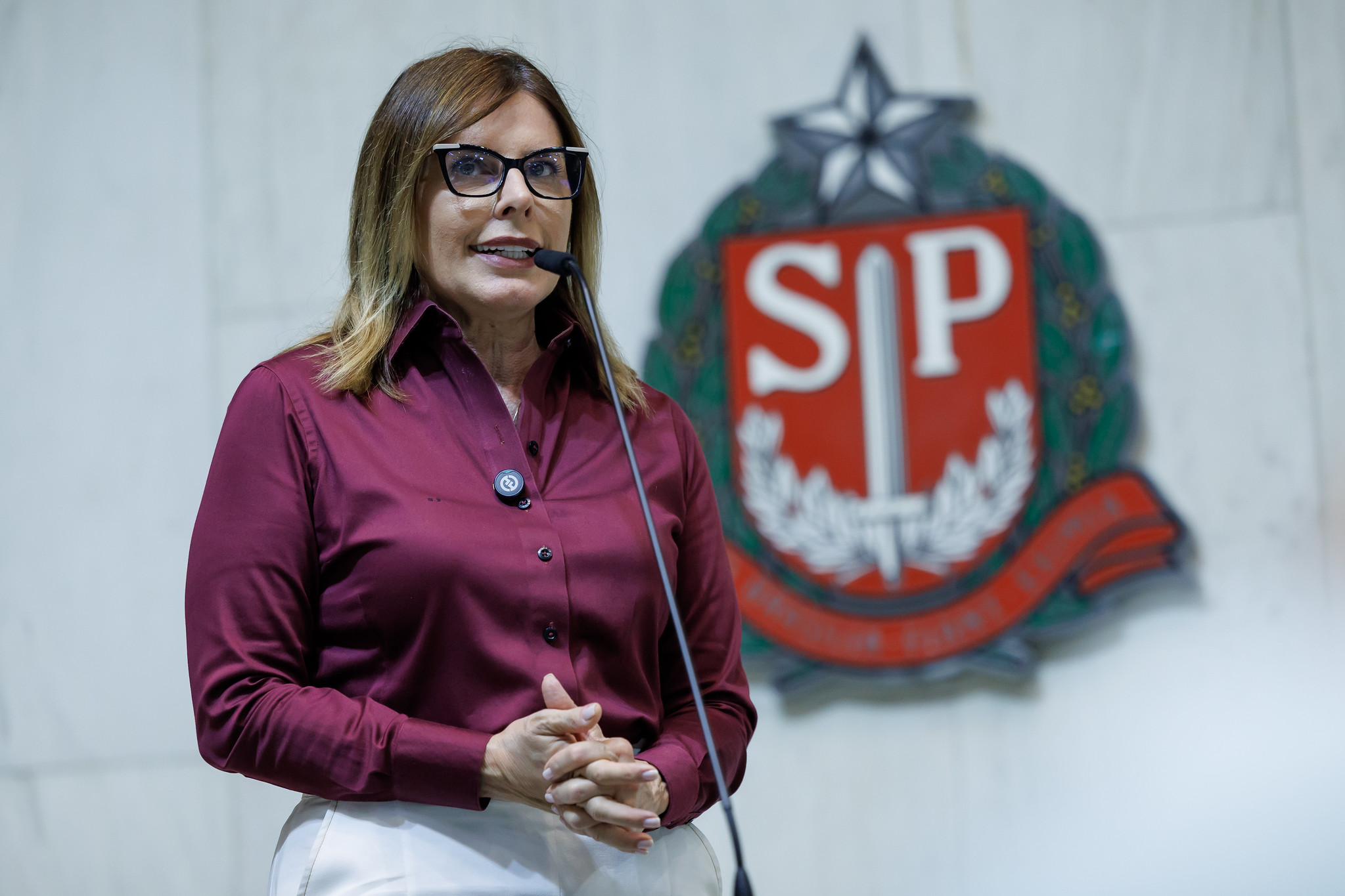 Deputada Solange Freitas<a style='float:right;color:#ccc' href='https://www3.al.sp.gov.br/repositorio/noticia/N-12-2025/fg358682.jpg' target=_blank><i class='bi bi-zoom-in'></i> Clique para ver a imagem </a>