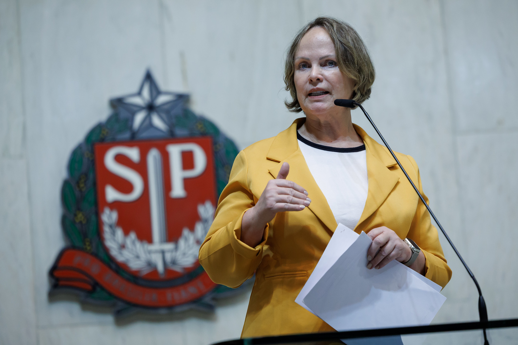 Deputada Ana Perugini<a style='float:right;color:#ccc' href='https://www3.al.sp.gov.br/repositorio/noticia/N-12-2025/fg358687.jpg' target=_blank><i class='bi bi-zoom-in'></i> Clique para ver a imagem </a>