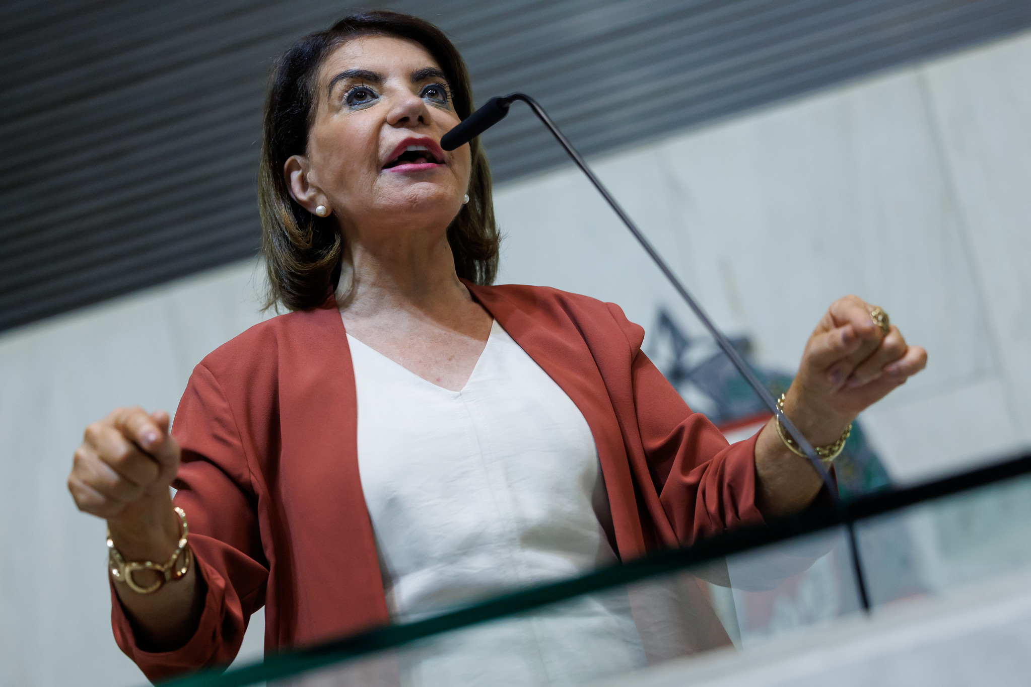 Deputada Professora Bebel <a style='float:right;color:#ccc' href='https://www3.al.sp.gov.br/repositorio/noticia/N-12-2025/fg358689.jpg' target=_blank><i class='bi bi-zoom-in'></i> Clique para ver a imagem </a>