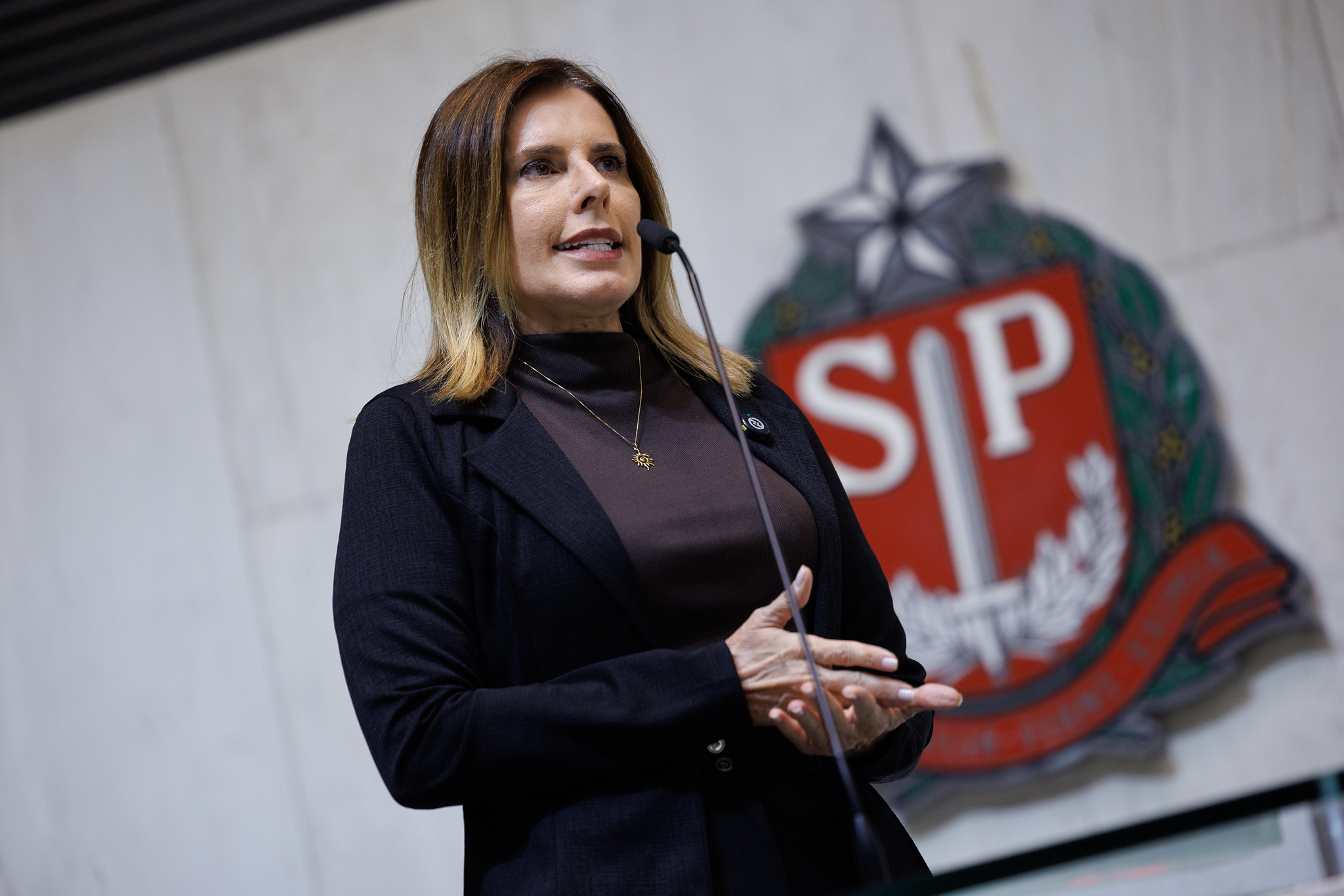 Solange Freitas: salas sensoriais<a style='float:right;color:#ccc' href='https://www3.al.sp.gov.br/repositorio/noticia/N-12-2025/fg358782.jpg' target=_blank><i class='bi bi-zoom-in'></i> Clique para ver a imagem </a>