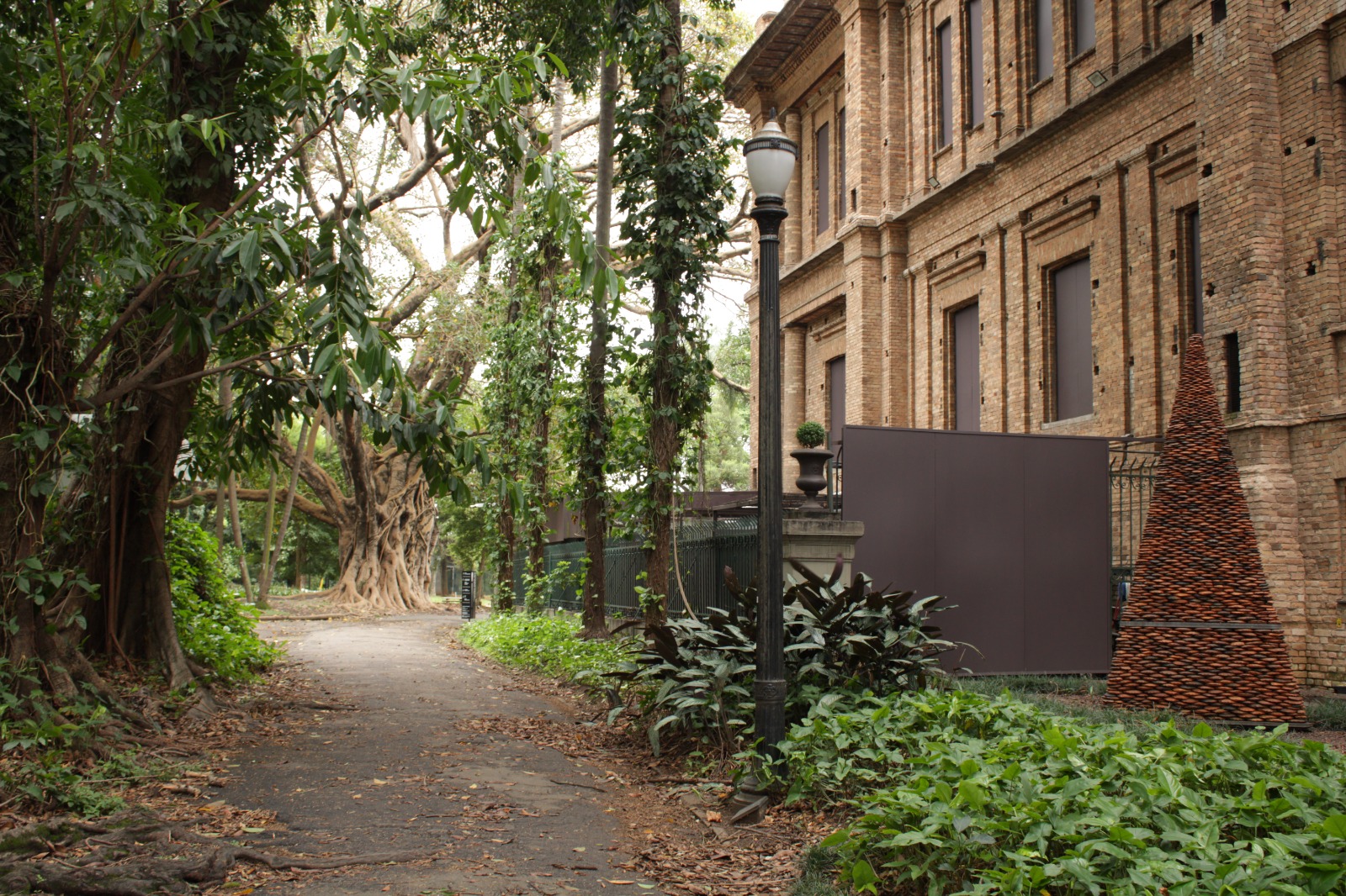 Lateral da Pina Luz<a style='float:right' href='https://www3.al.sp.gov.br/repositorio/noticia/N-12-2025/fg358962.jpeg' target=_blank><img src='/_img/material-file-download-white.png' width='14px' alt='Clique para baixar a imagem'></a>