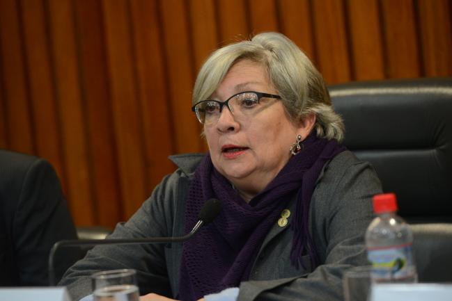 Rosa Maria Ortiz, relatora para direitos das crianas e adolecentes da OEA     <a style='float:right;color:#ccc' href='https://www3.al.sp.gov.br/repositorio/noticia/R-07-2015/fg172789.jpg' target=_blank><i class='bi bi-zoom-in'></i> Clique para ver a imagem </a>
